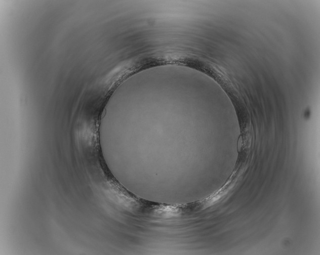 X0000091930140200709051509