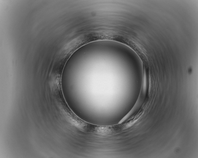 X0000091930141200709051509