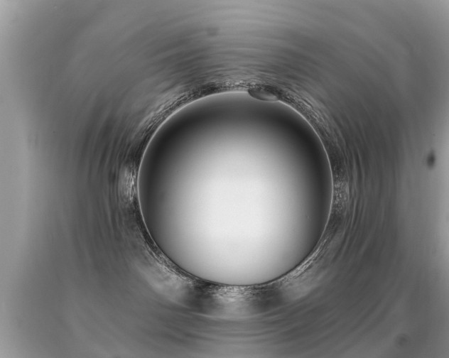 X0000091930142200709051509