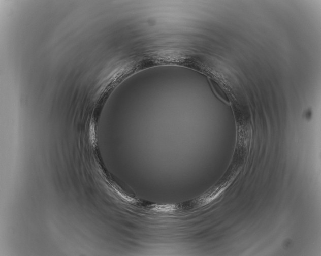 X0000091930143200709051509
