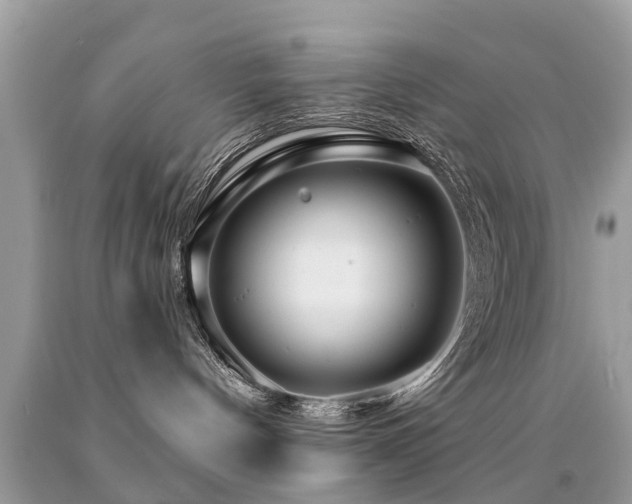 X0000091930144200709051509