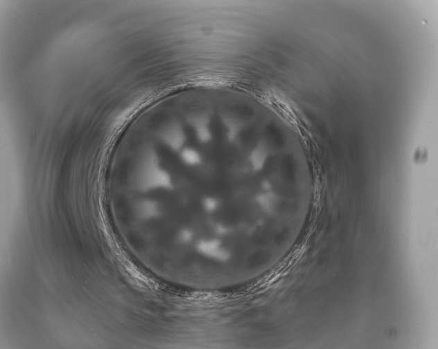 X0000091930145200709051508