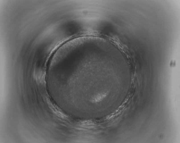 X0000091930146200709051508
