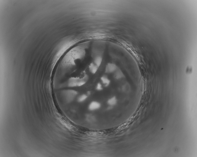 X0000091930147200709051508