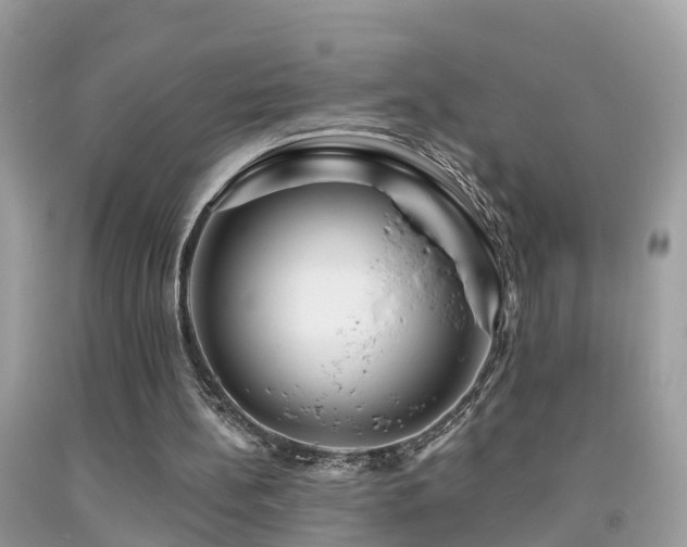 X0000091930148200709051509