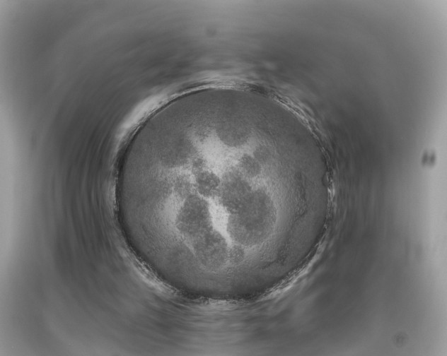 X0000091930149200709051509