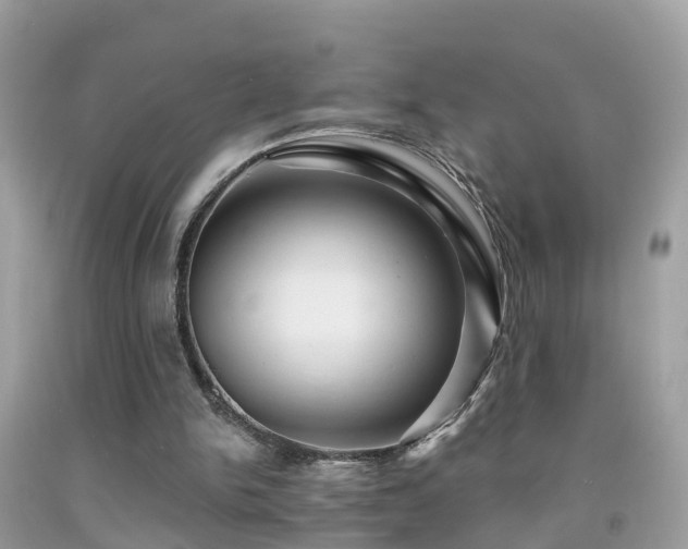 X0000091930150200709051509