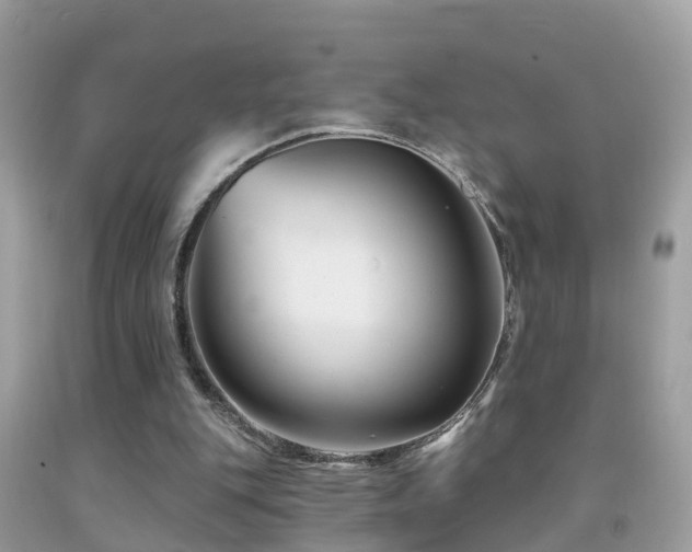 X0000091930151200709051509