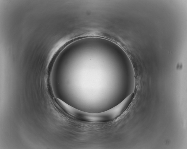 X0000091930152200709051509