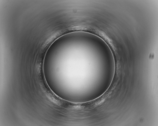 X0000091930153200709051509