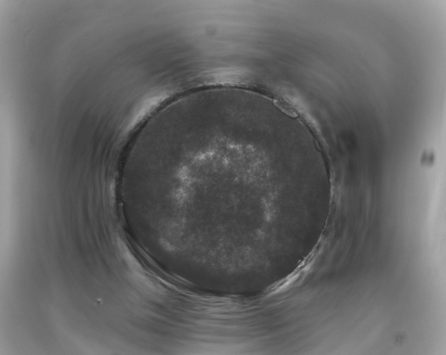 X0000091930154200709051509