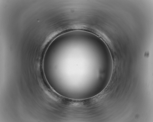 X0000091930155200709051509