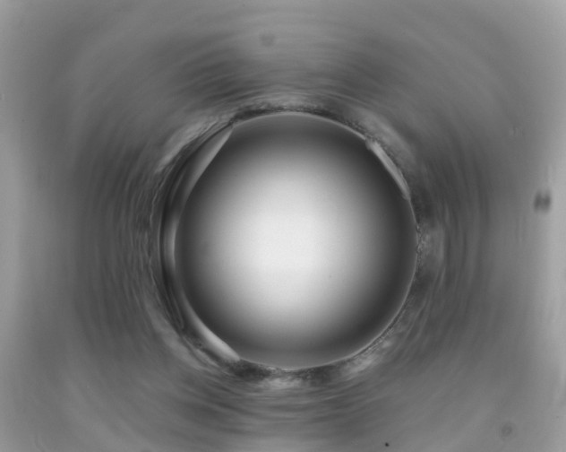 X0000091930158200709051509