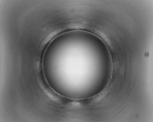 X0000091930159200709051509