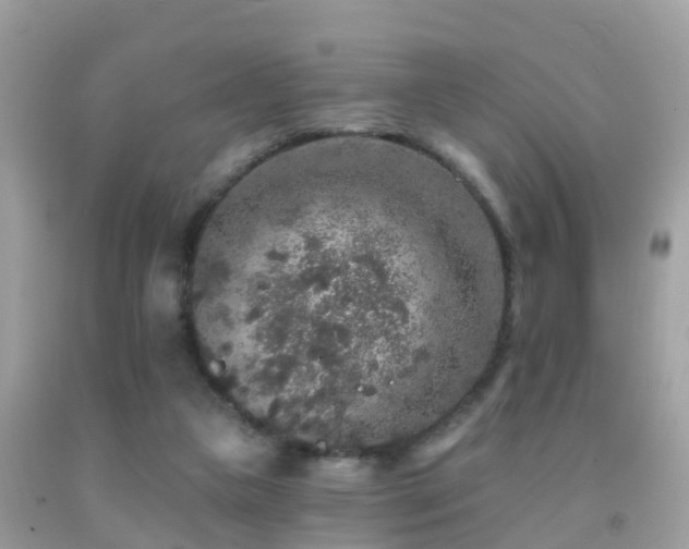 X0000091930161200709051509