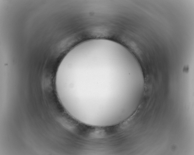X0000091930162200709051509