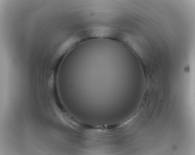 X0000091930163200709051509
