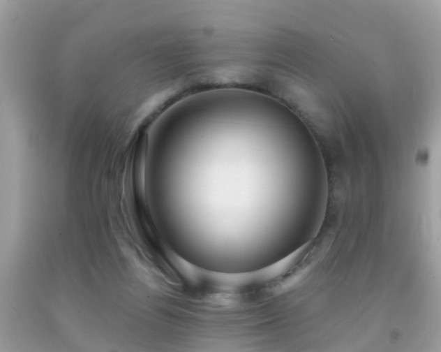X0000091930164200709051509
