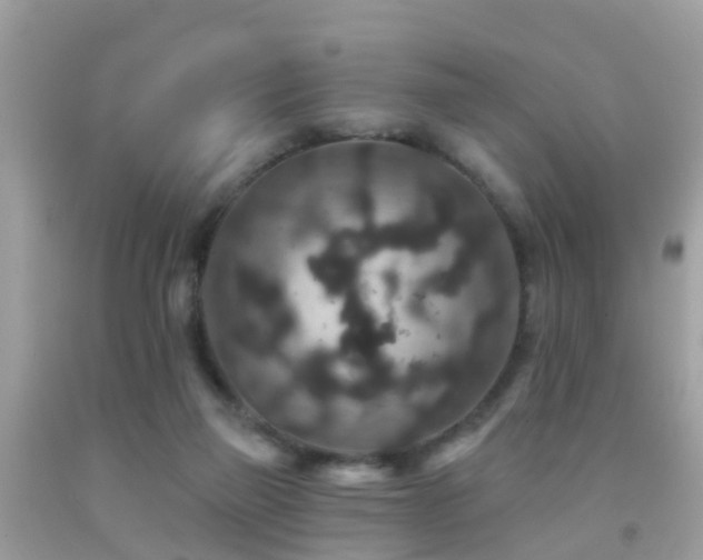 X0000091930165200709051509