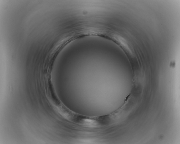 X0000091930167200709051509