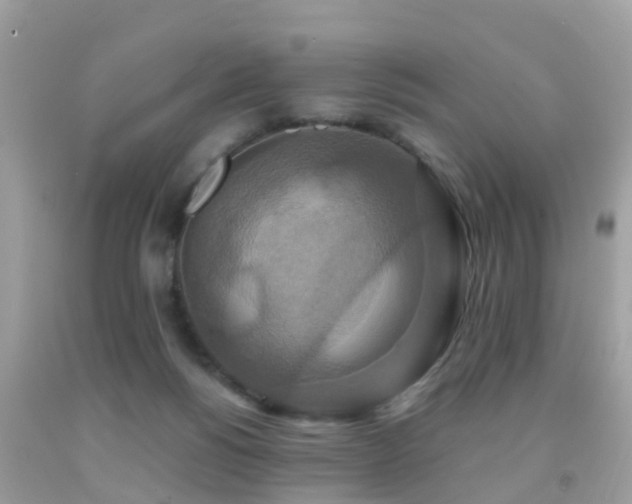 X0000091930168200709051509