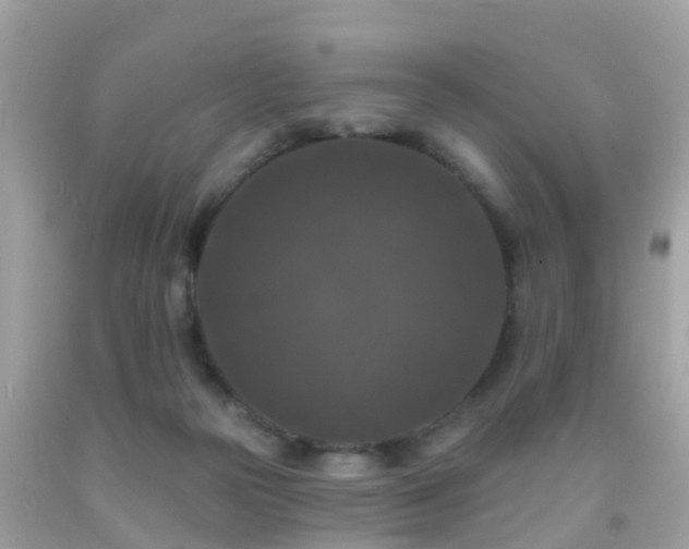 X0000091930169200709051509