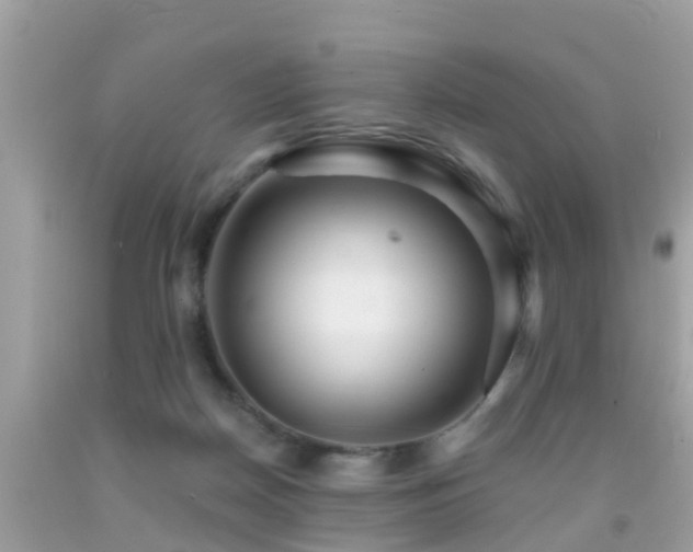 X0000091930170200709051509