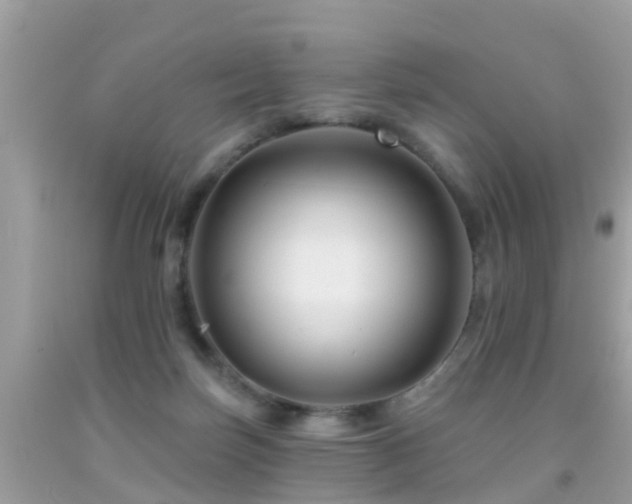 X0000091930171200709051509