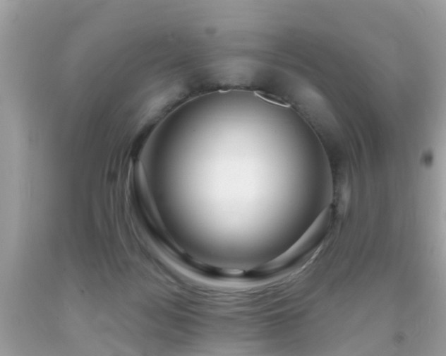 X0000091930172200709051509
