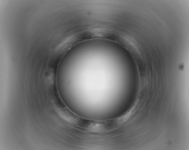 X0000091930174200709051509