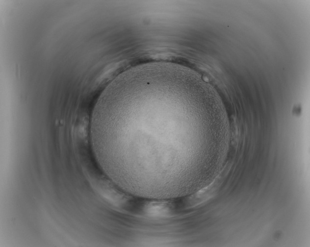 X0000091930175200709051509