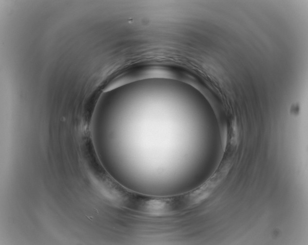 X0000091930176200709051509