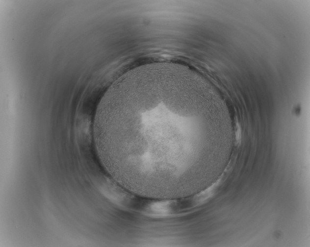 X0000091930178200709051509