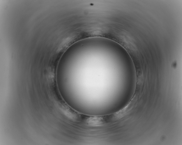 X0000091930179200709051509