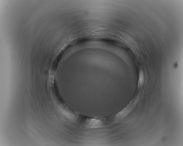 X0000091930180200709051509