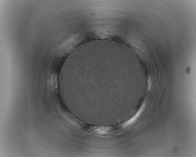 X0000091930182200709051509