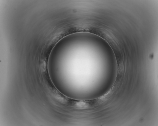 X0000091930183200709051509