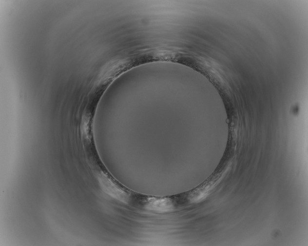 X0000091930185200709051509
