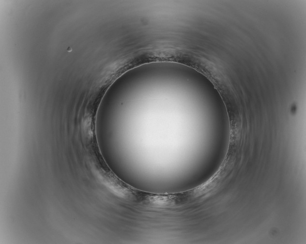 X0000091930187200709051509