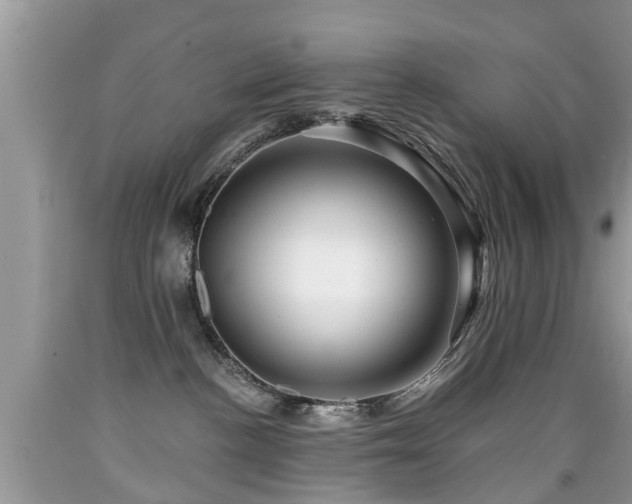 X0000091930188200709051509