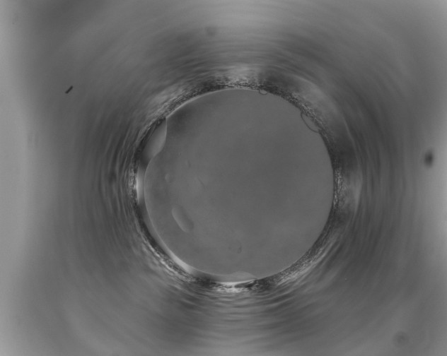 X0000091930189200709051509