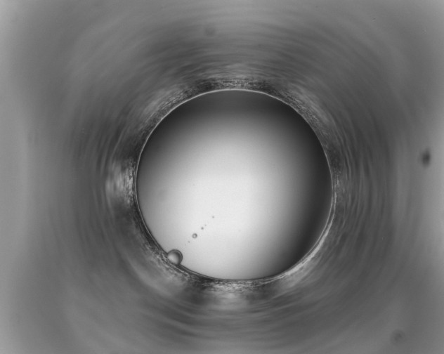 X0000091930190200709051509