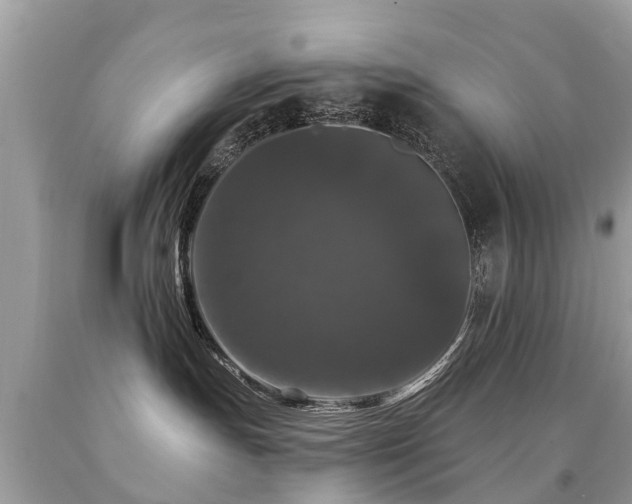 X0000091930191200709051509