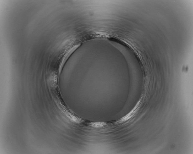 X0000091930192200709051509