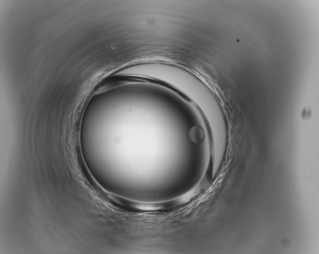 X0000091930193200709051508