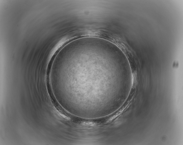 X0000091930195200709051508