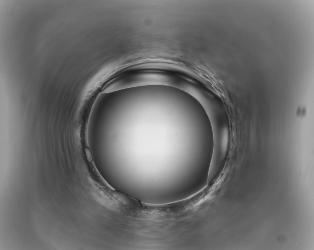 X0000091930197200709051508