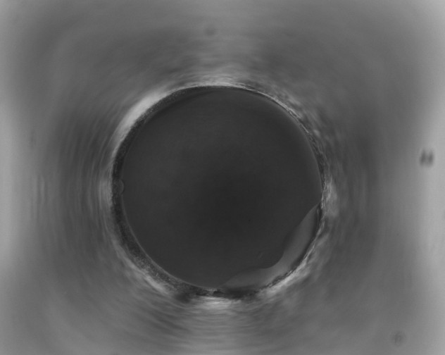 X0000091930200200709051508