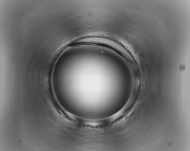 X0000091930201200709051508