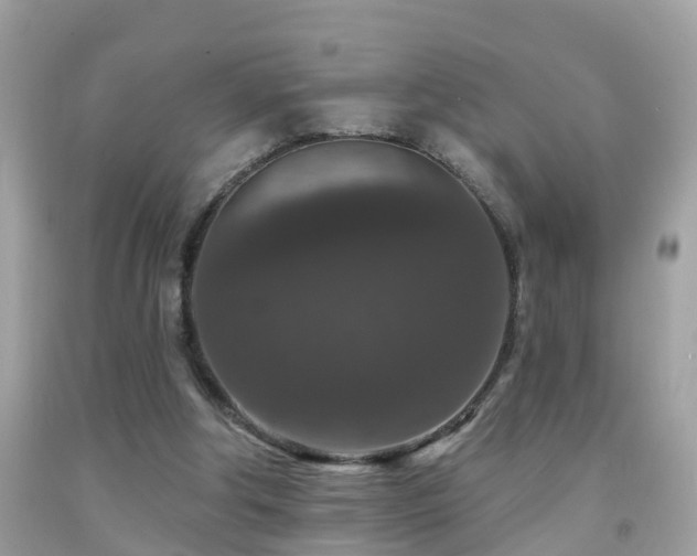 X0000091930202200709051508